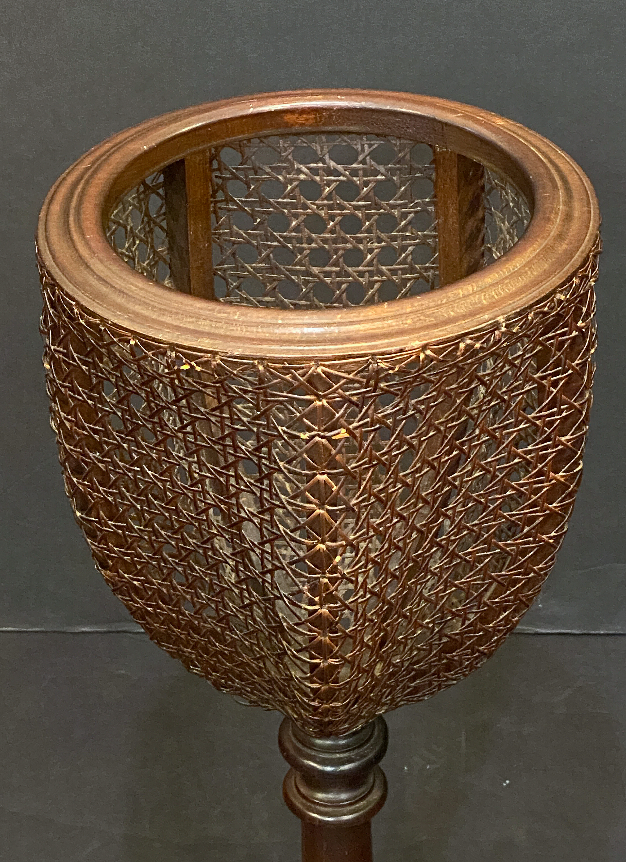 dd220_edwardian_cane_stand_11