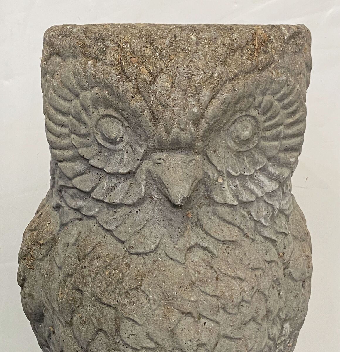 ee532_english_garden_stone_owl_planter_by_phone_11