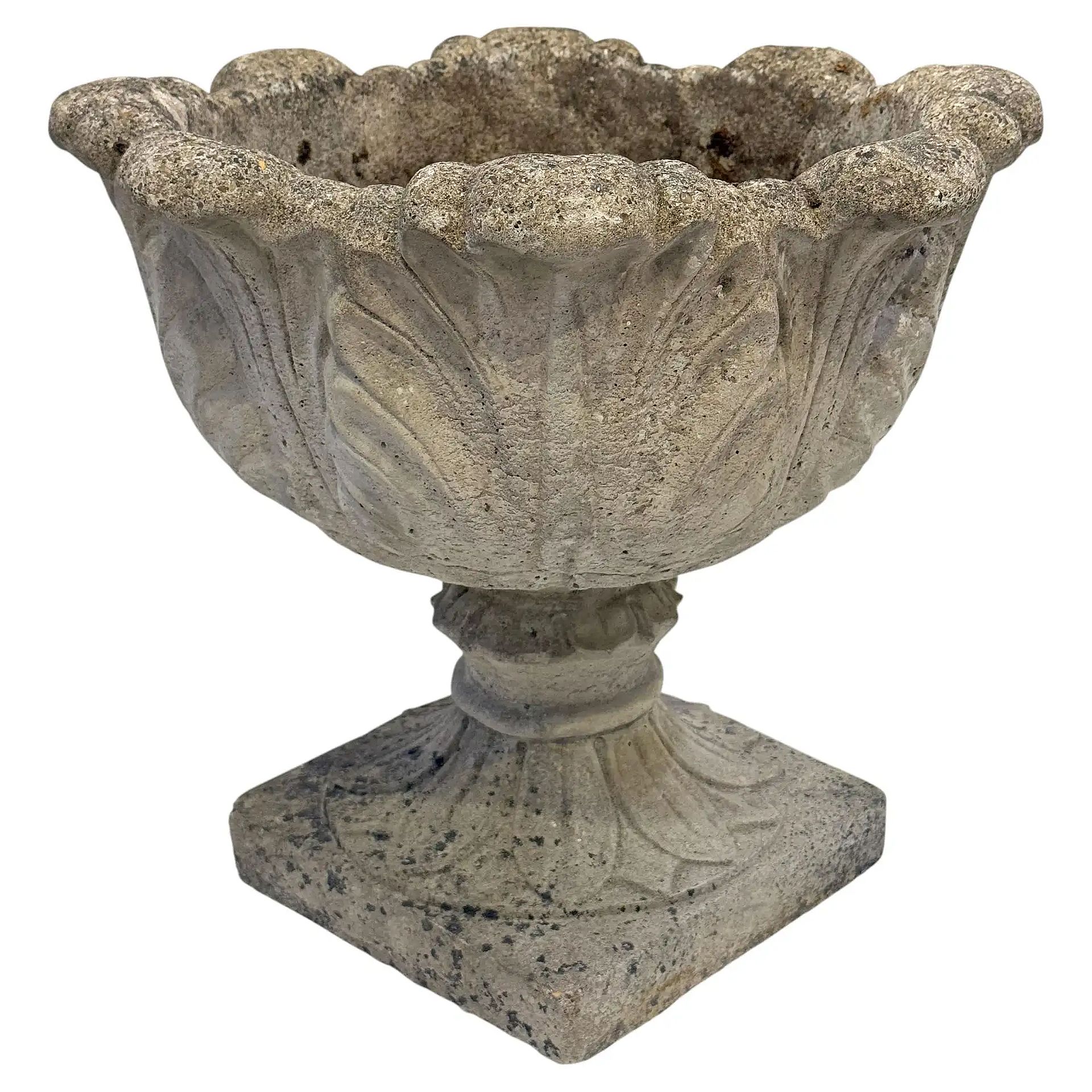 f_49797352_1776897511450_bg_processed