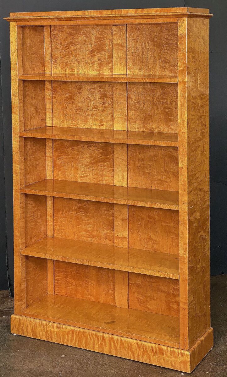 ff065_main2__biedermeier_bookcases_2_l_e_a_d