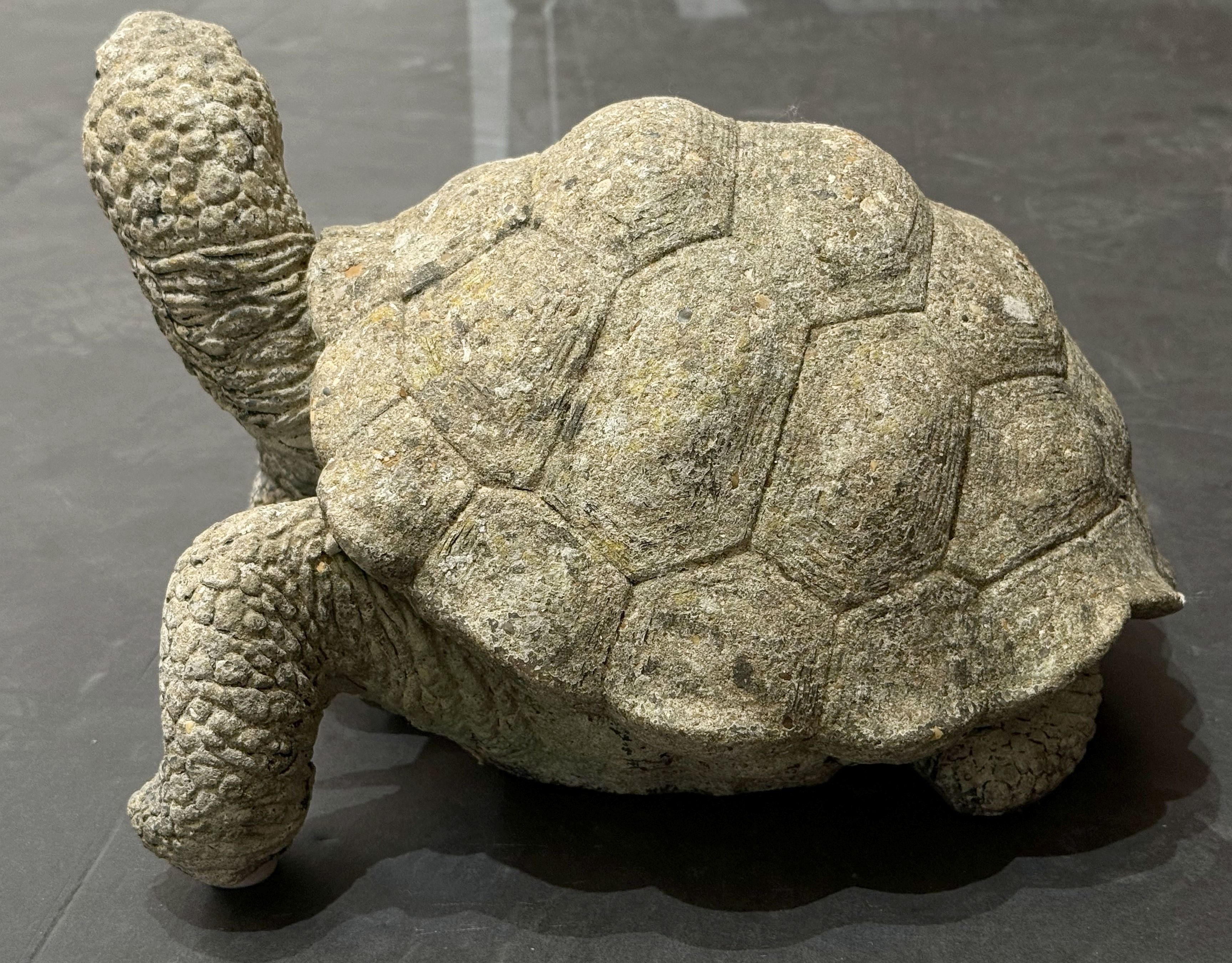 gg044_stone_turtle_10_copy