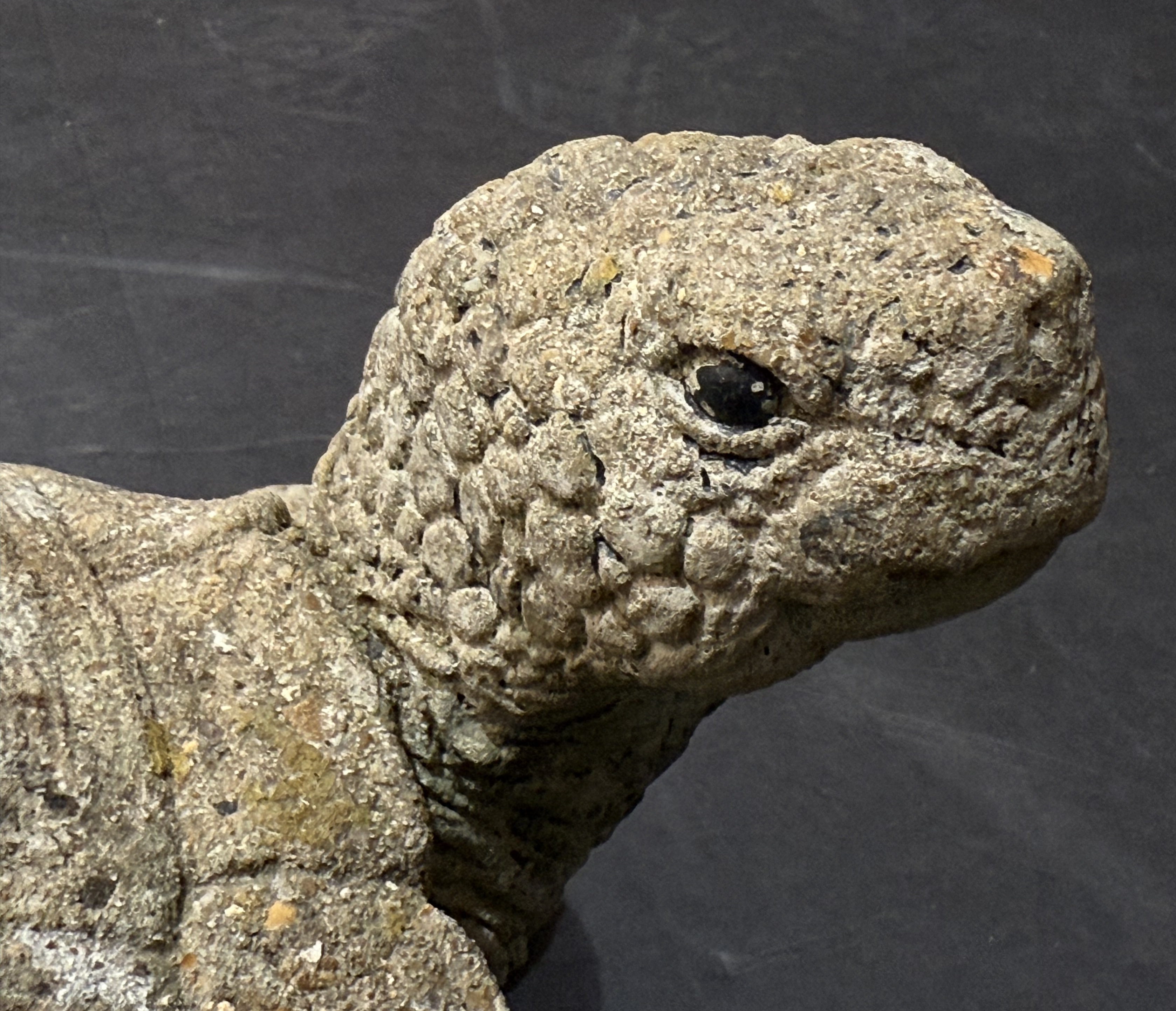 gg044_stone_turtle_14_copy