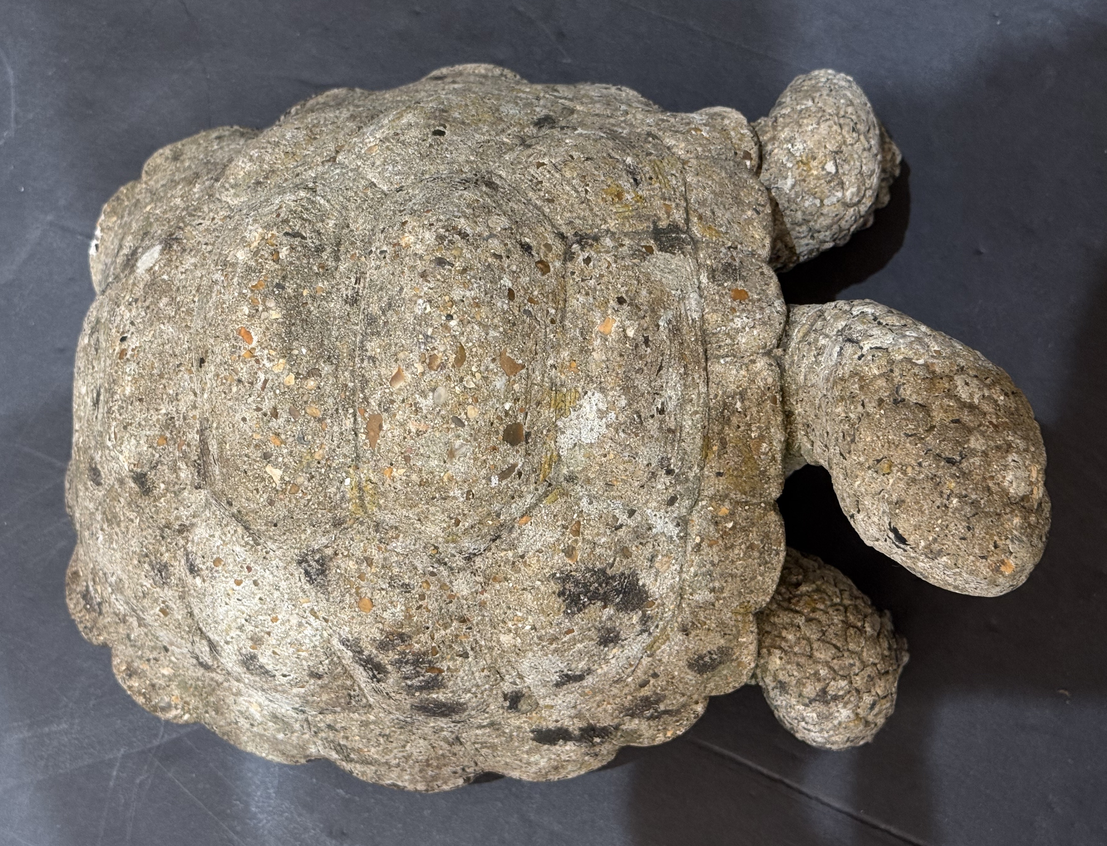 gg044_stone_turtle_1_copy