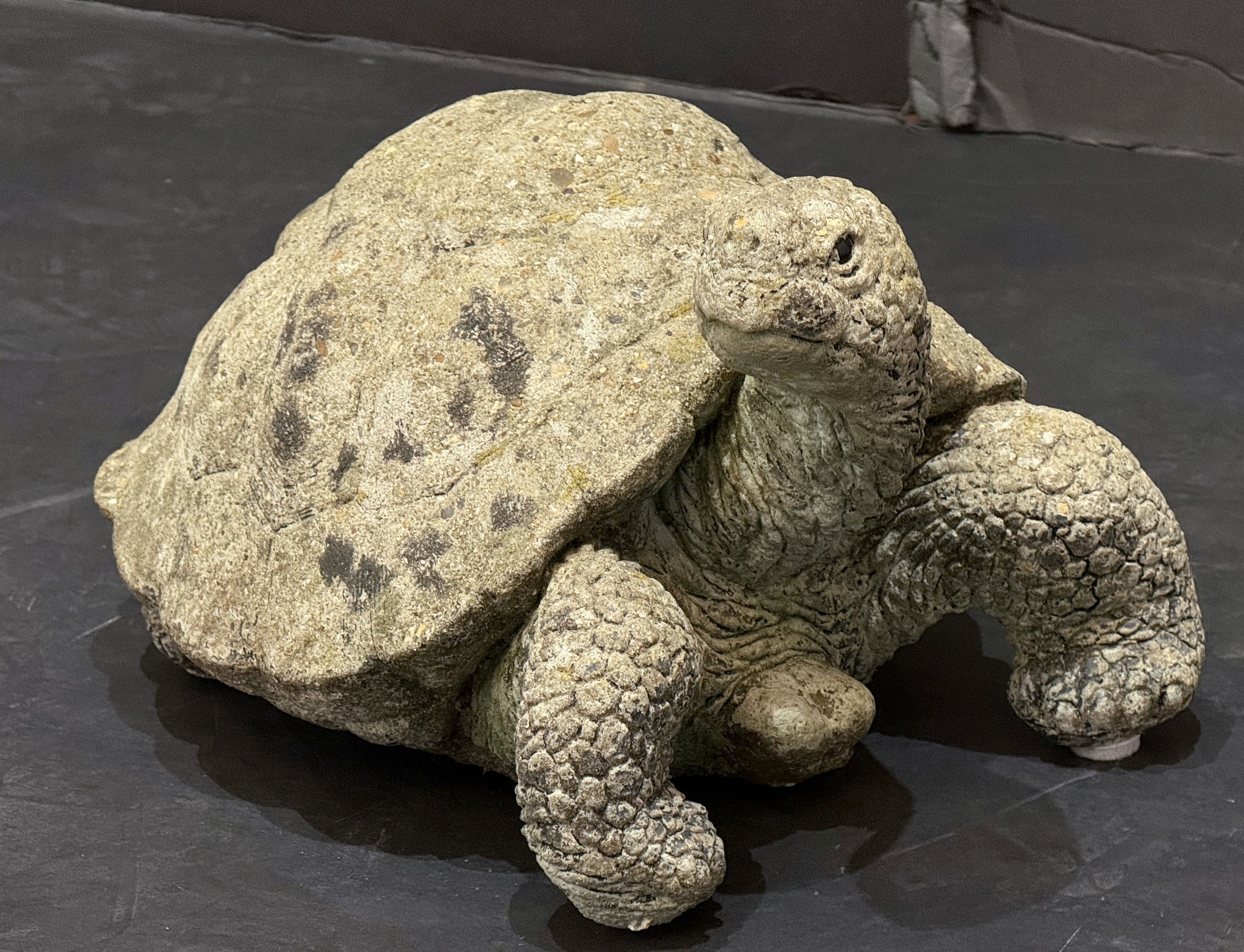 gg044_stone_turtle_5_copy