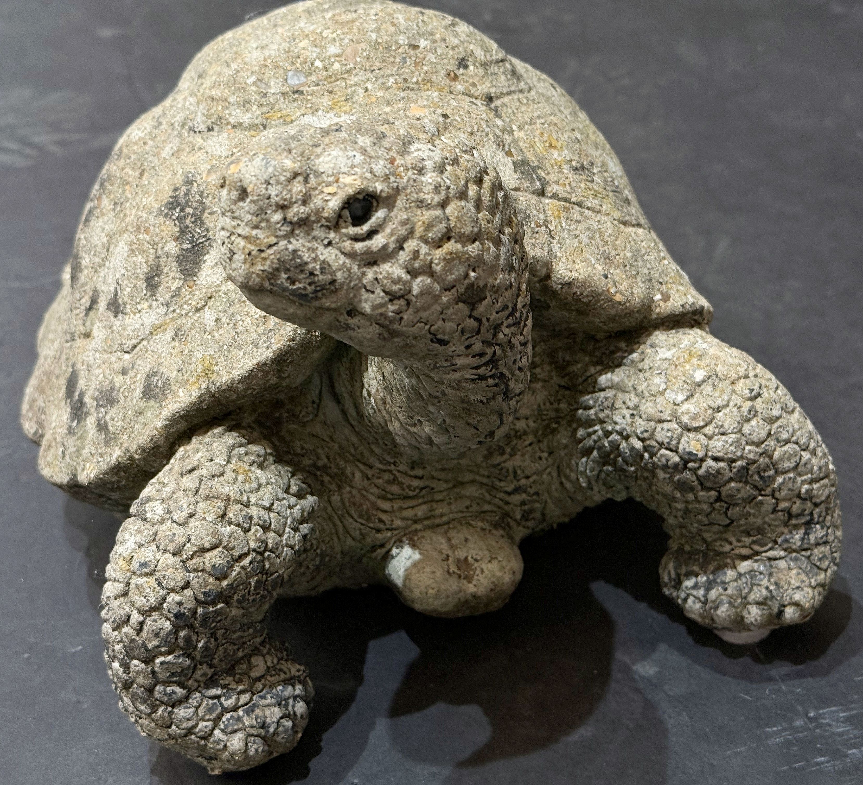 gg044_stone_turtle_7_copy