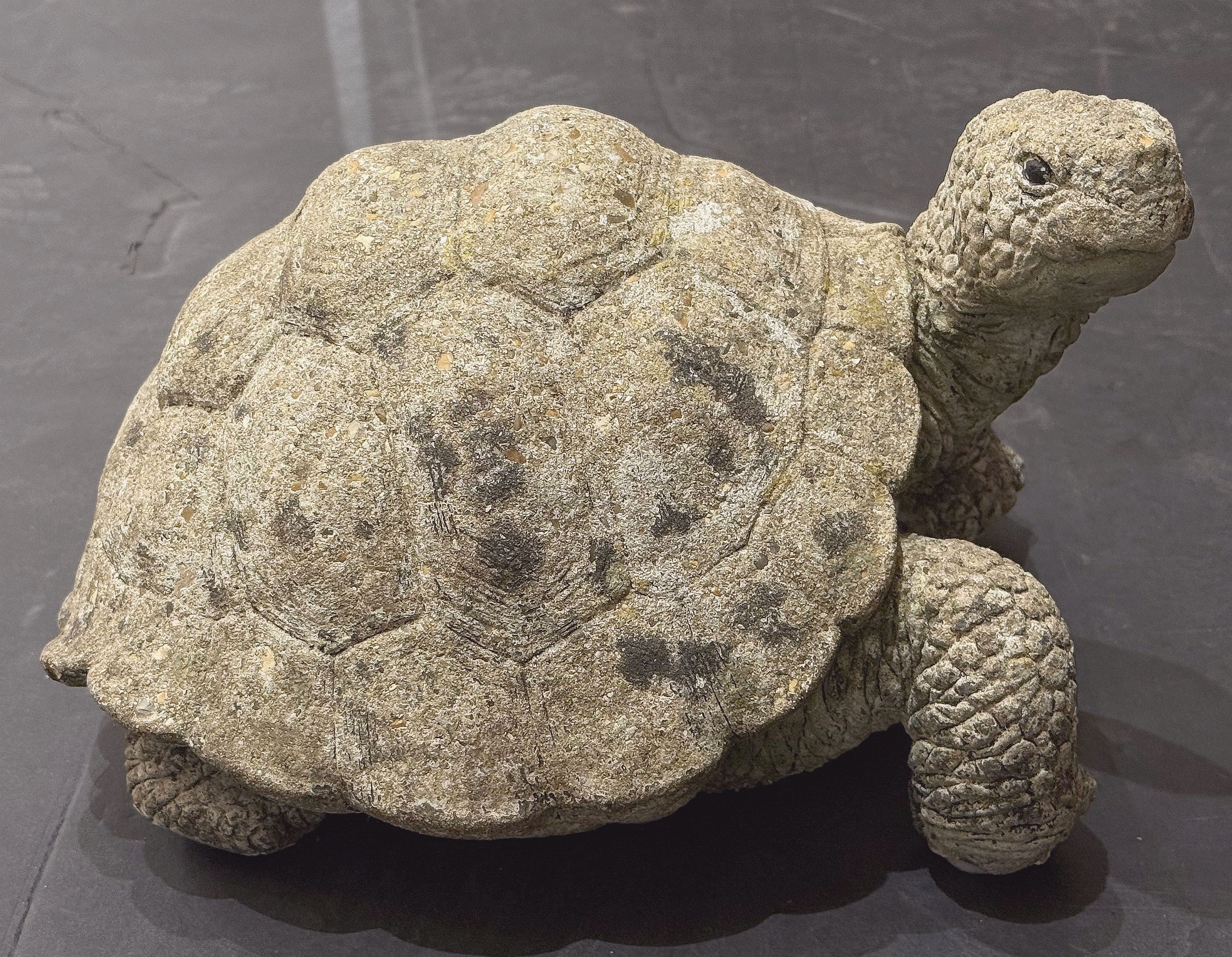 gg044_stone_turtle_m_a_i_n