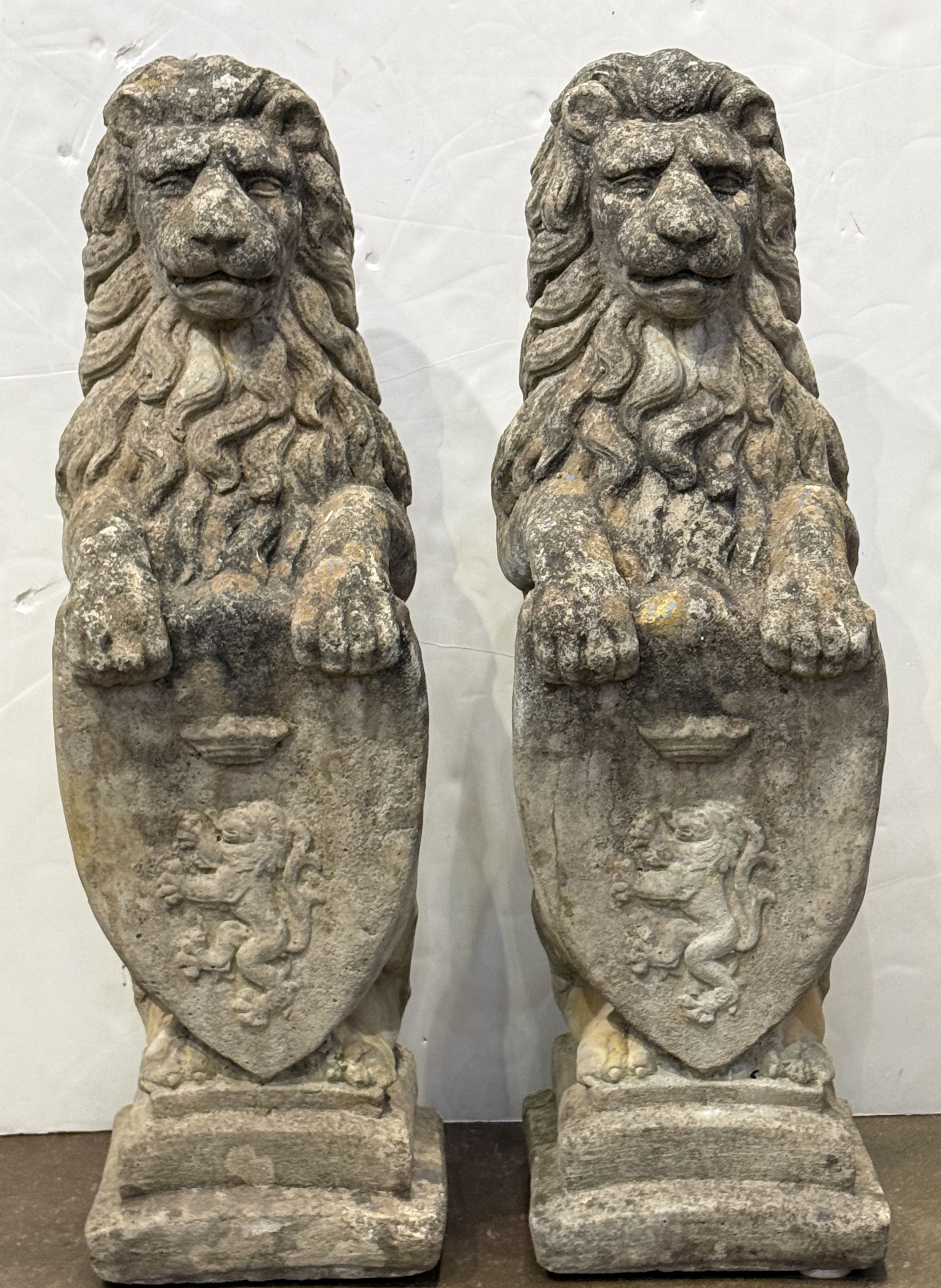 photo_apr_03_2026_5_01_49_pm