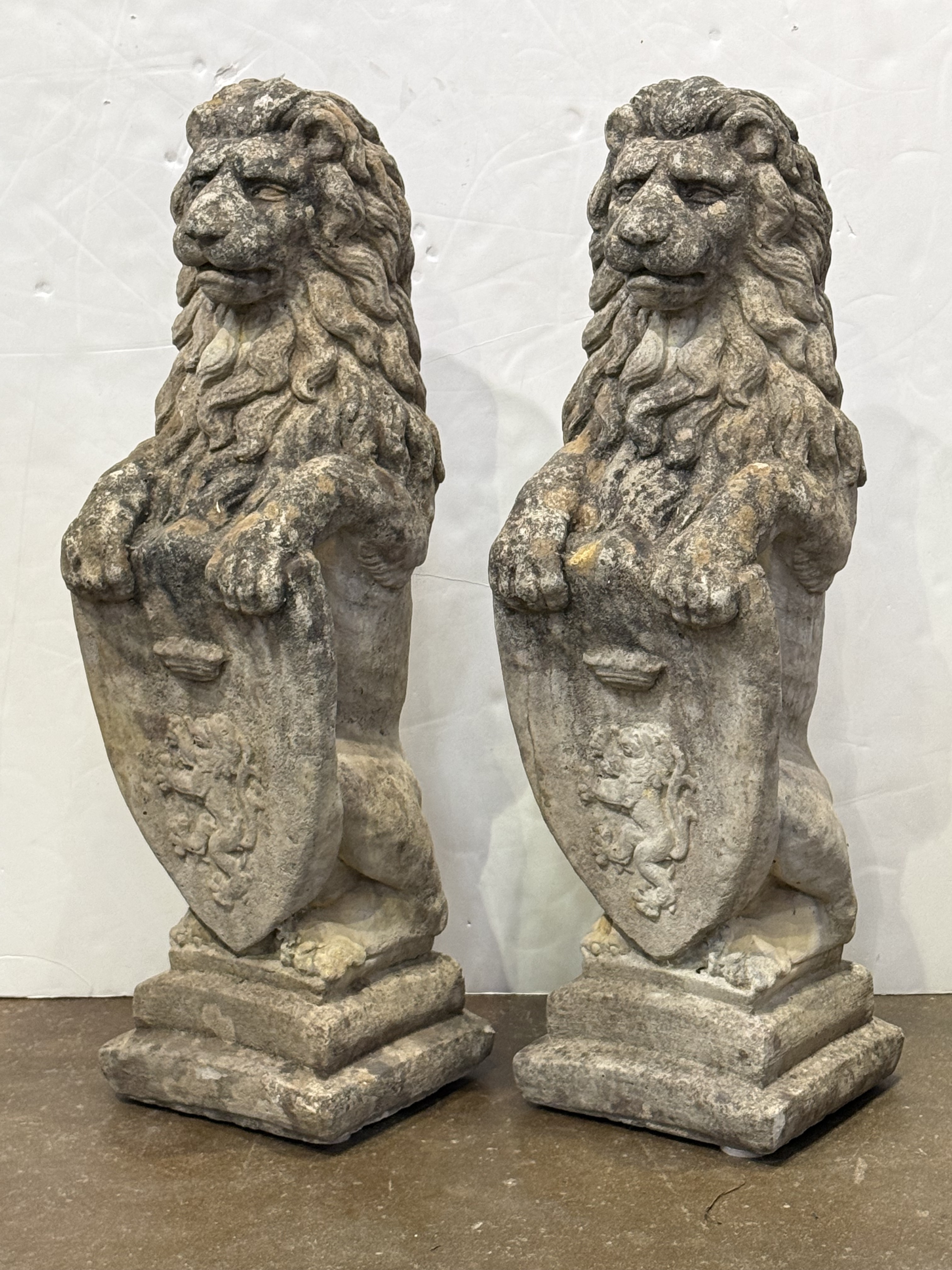 photo_apr_03_2026_5_02_52_pm