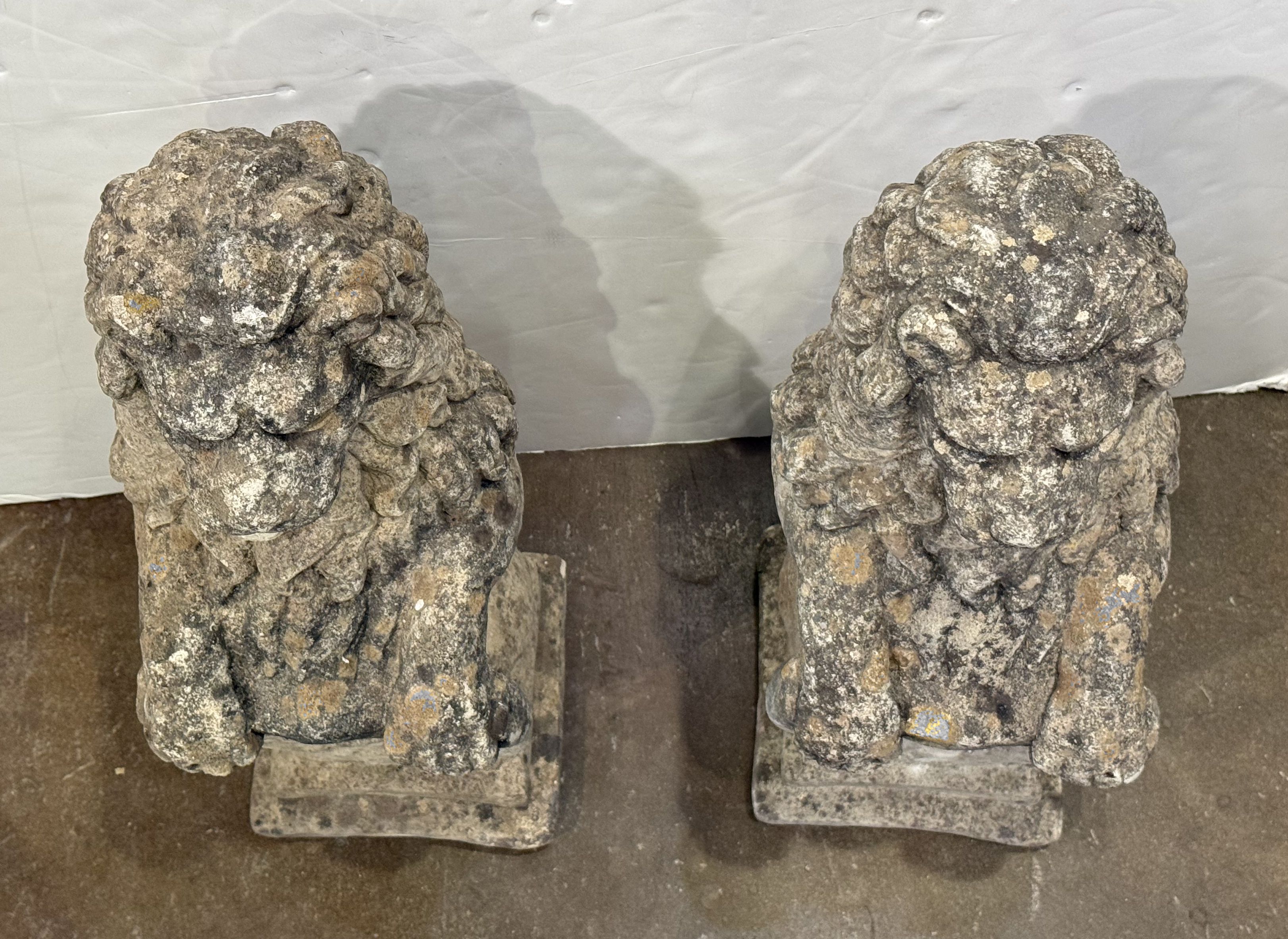 photo_apr_03_2026_5_06_53_pm