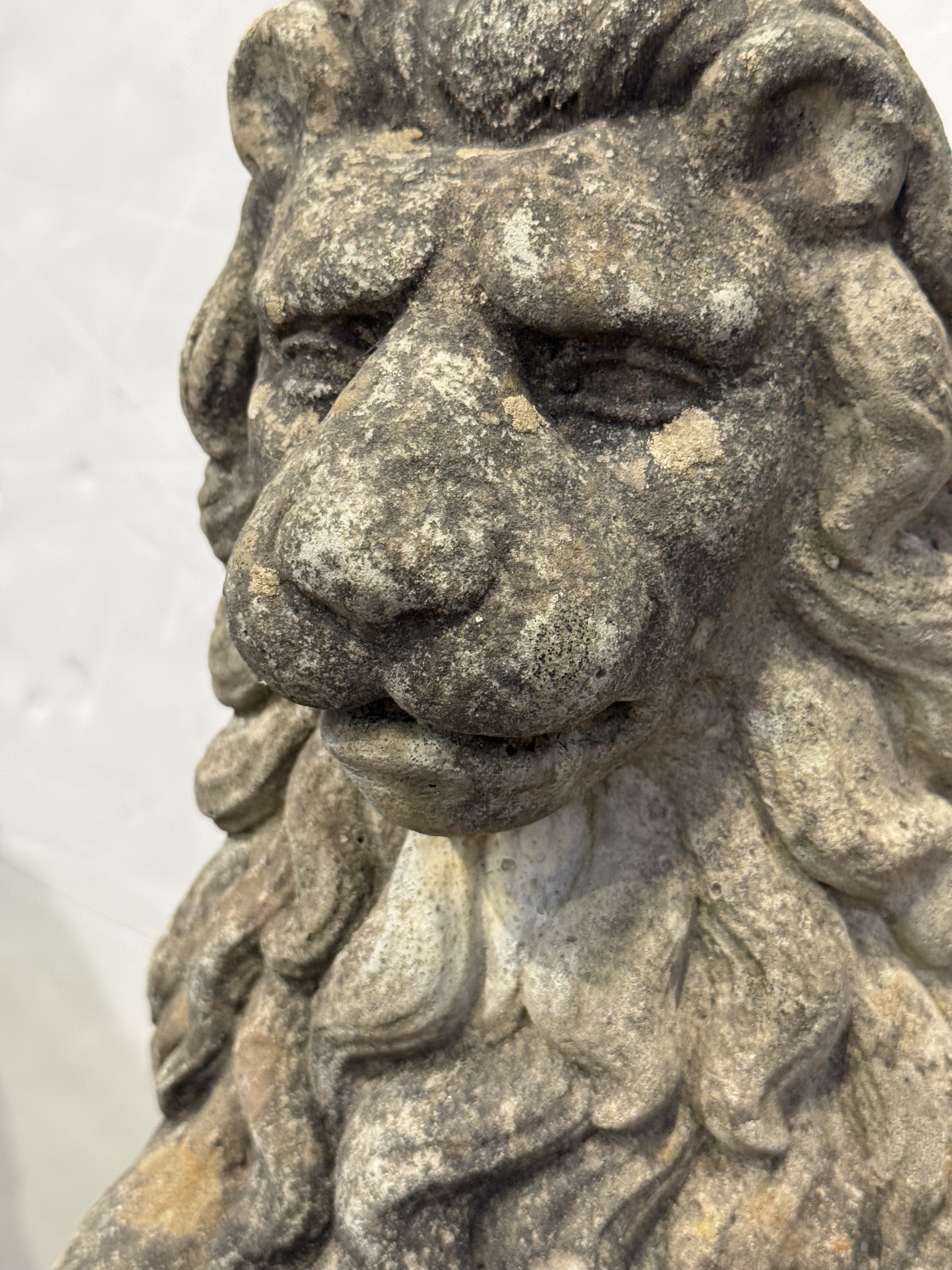 photo_apr_03_2026_5_08_14_pm