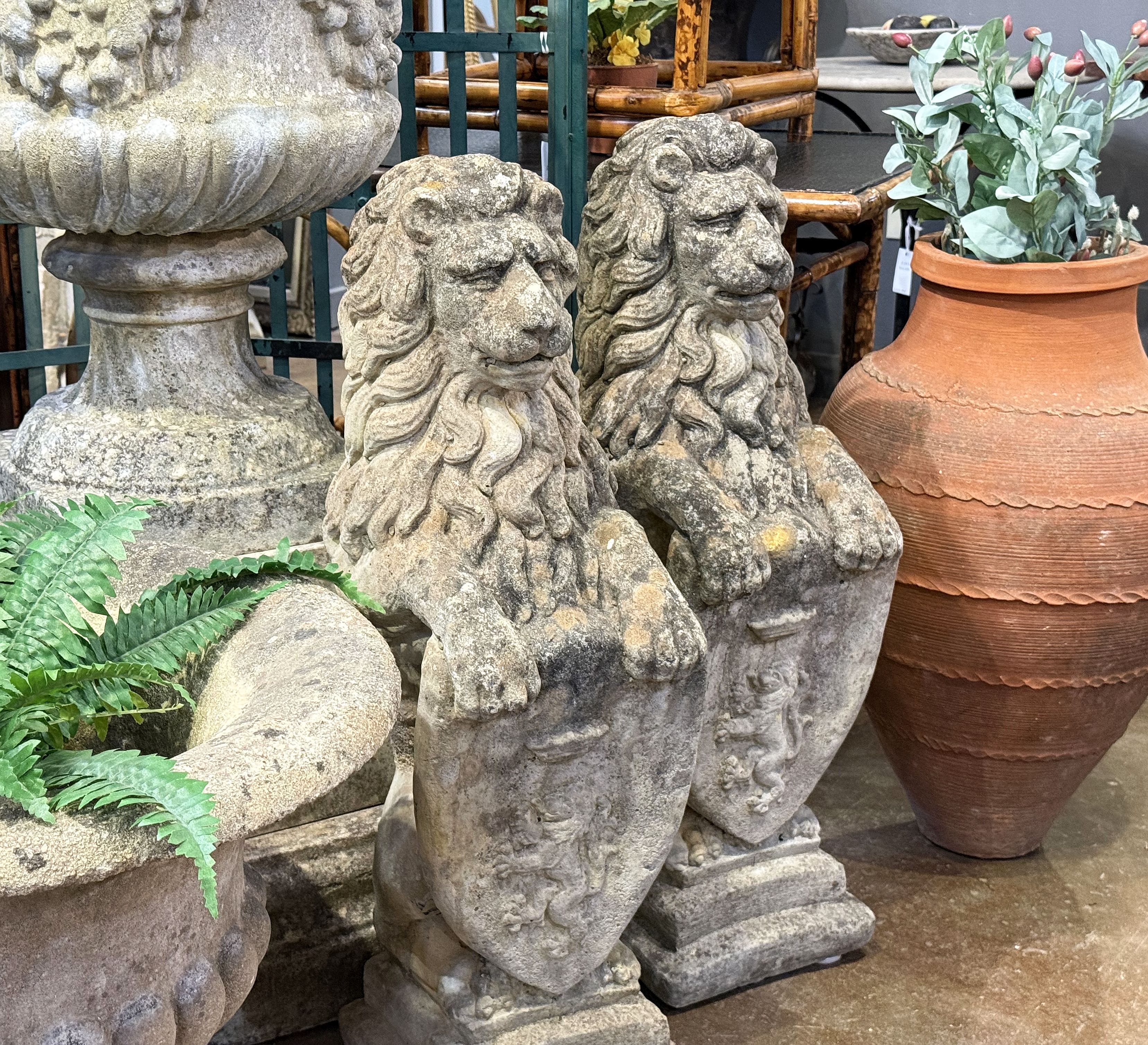 photo_apr_03_2026_5_12_36_pm