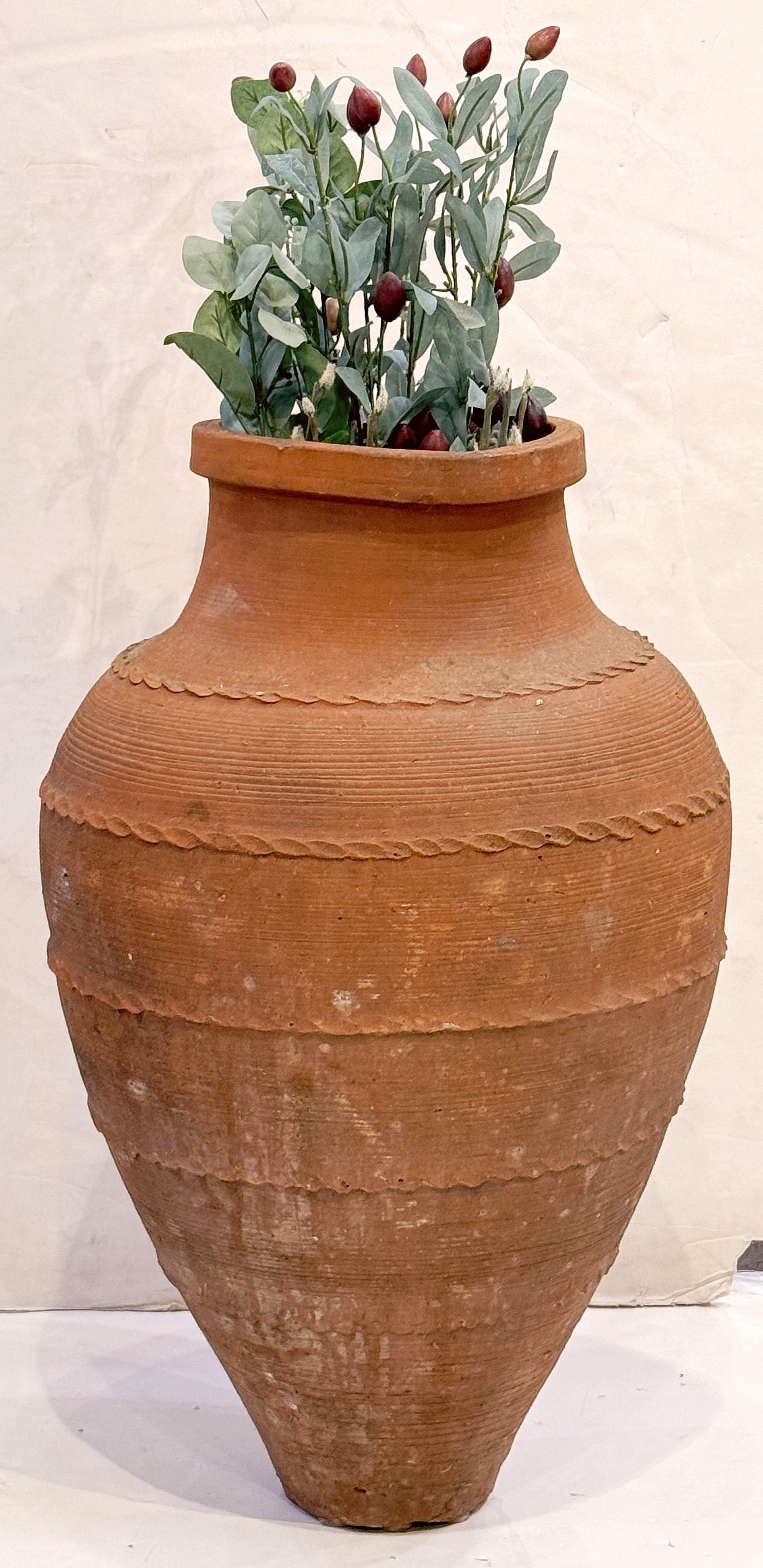 photo_apr_07_2026_3_46_21_pm