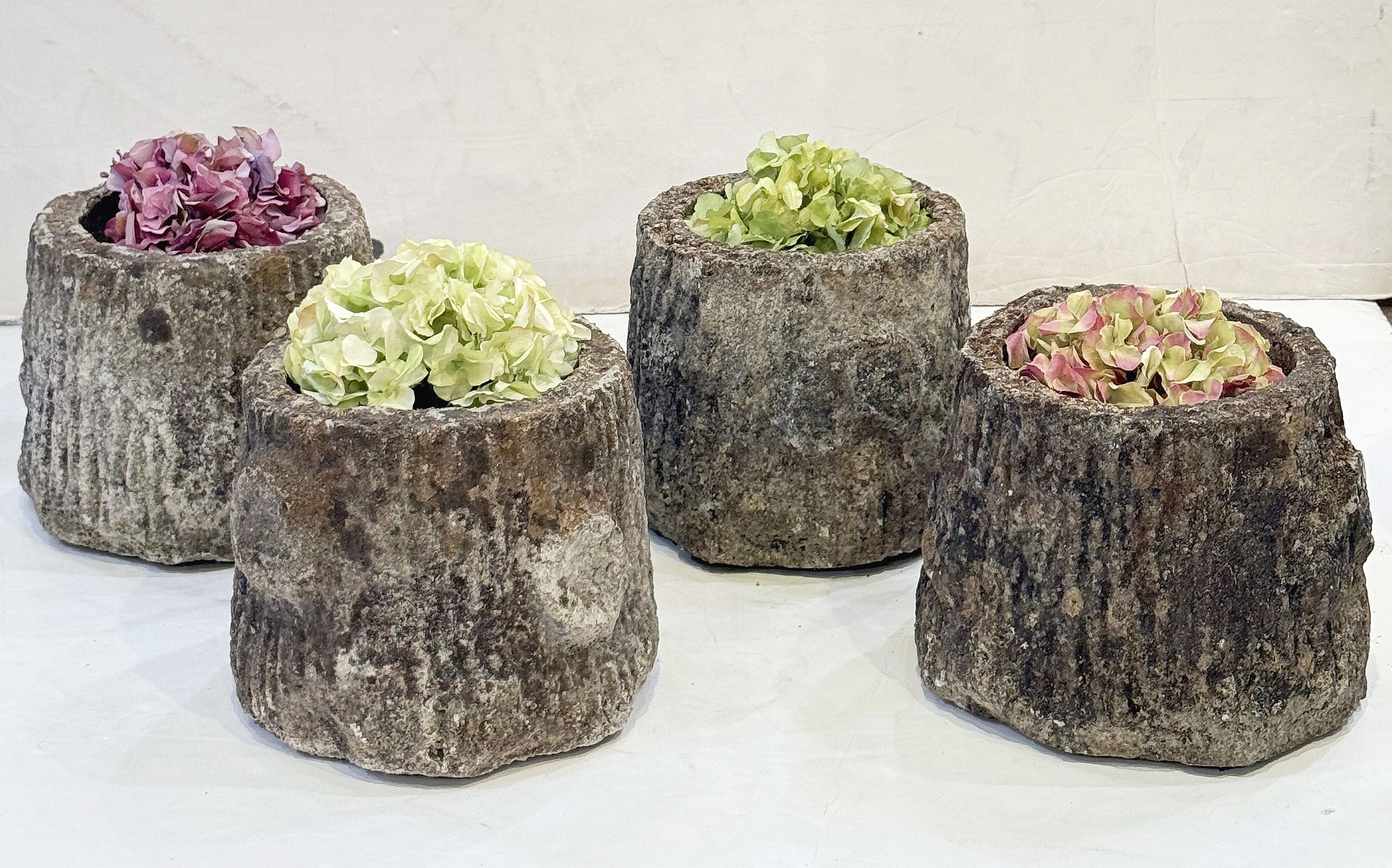 photo_apr_07_2026_5_16_05_pm