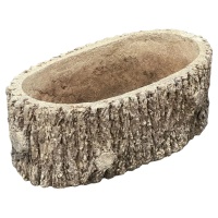 f_45961412_1753116961423_bg_processed