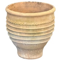 f_48024602_1765922579187_bg_processed_1261075510