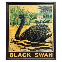 f_48753862_1770756202784_bg_processed