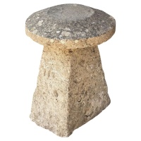 f_49444702_1774895993483_bg_processed_628527268