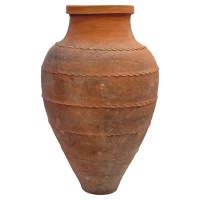 f_49595222_1775844263457_bg_processed